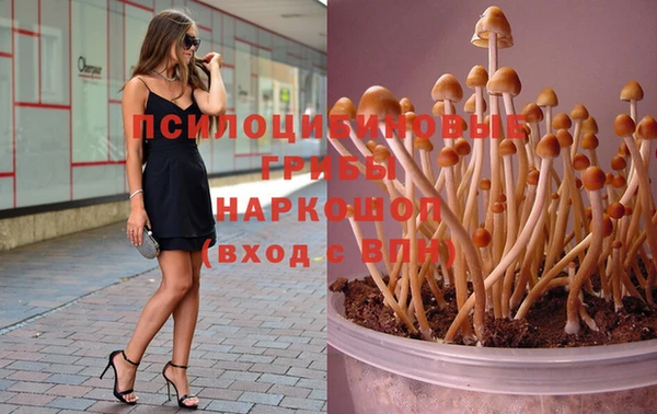 сатива Богданович
