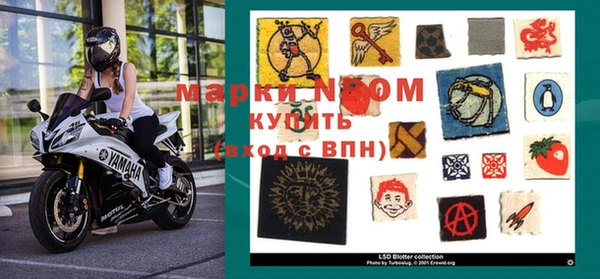 PSILOCYBIN Беломорск