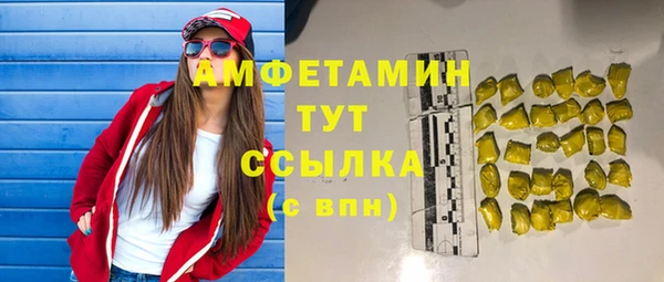 сатива Богданович