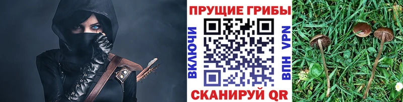 Псилоцибиновые грибы GOLDEN TEACHER  OMG ССЫЛКА  Билибино 